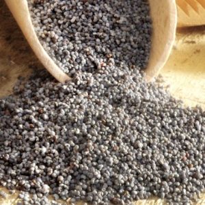 buy organic blue poppy seeds 3 5 lbs